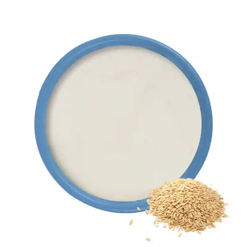 Oat Protein Powder